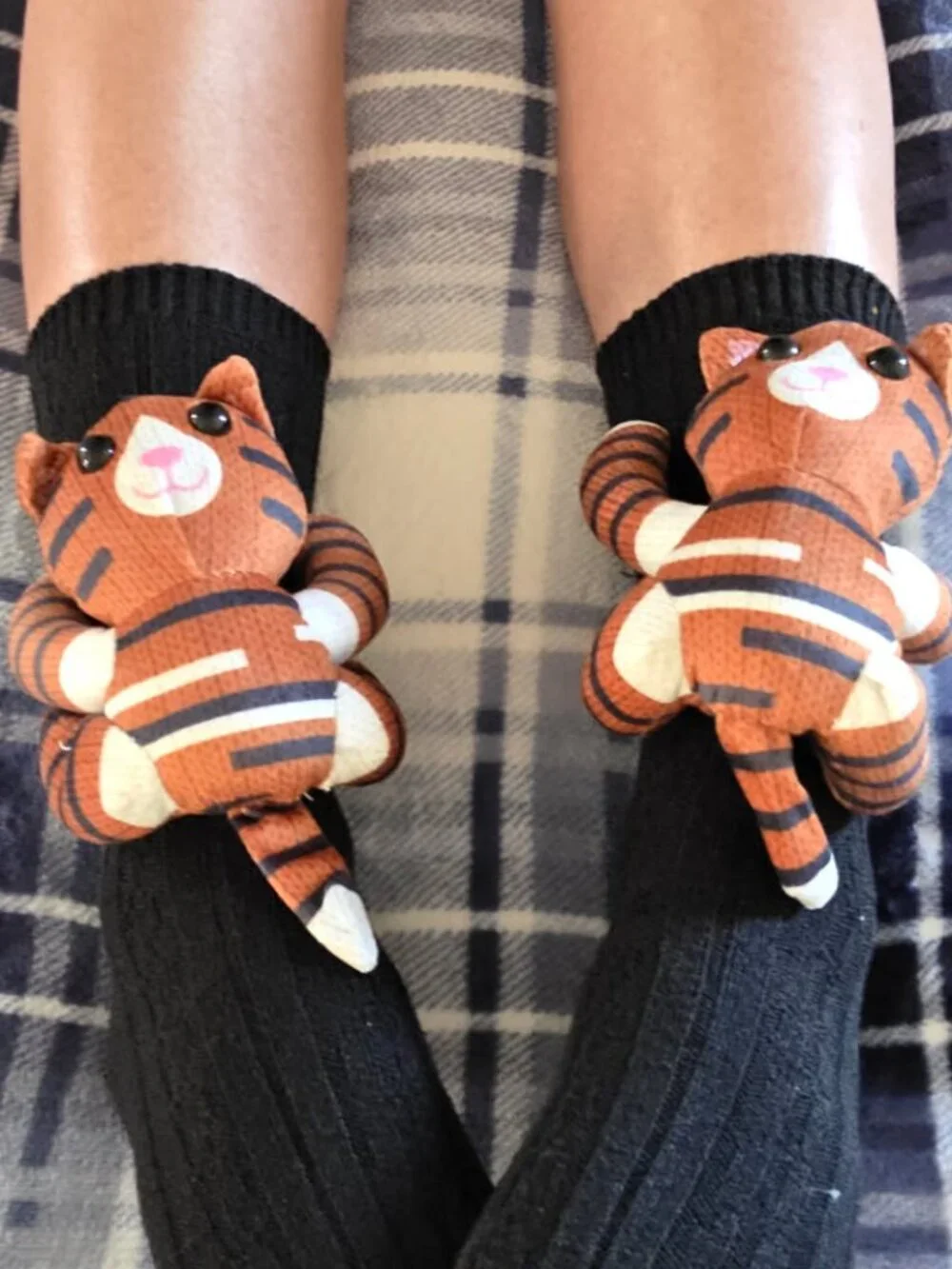 Novelty Cat Socks